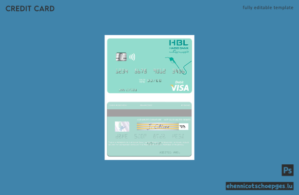 Beispielvorschau der Visa-Debitkarte der Malediven Habib Bank Limited